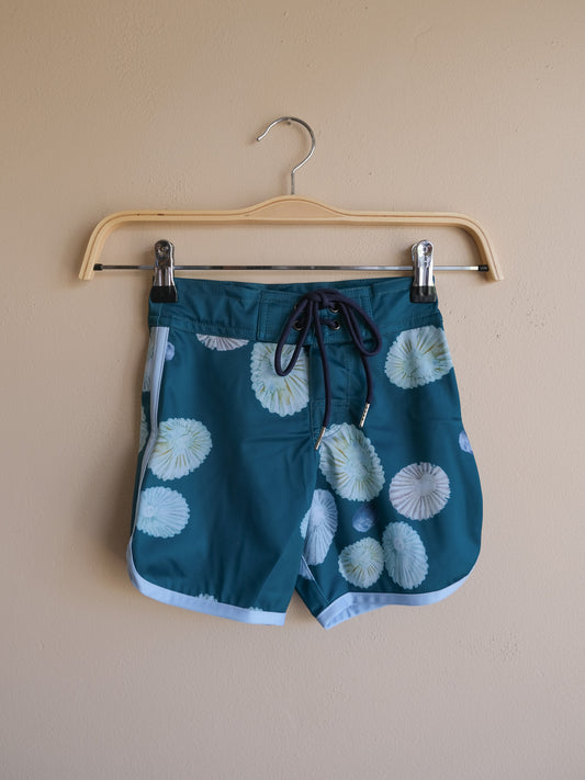 Keiki Kaikanileʻa Boardies ʻOpihi